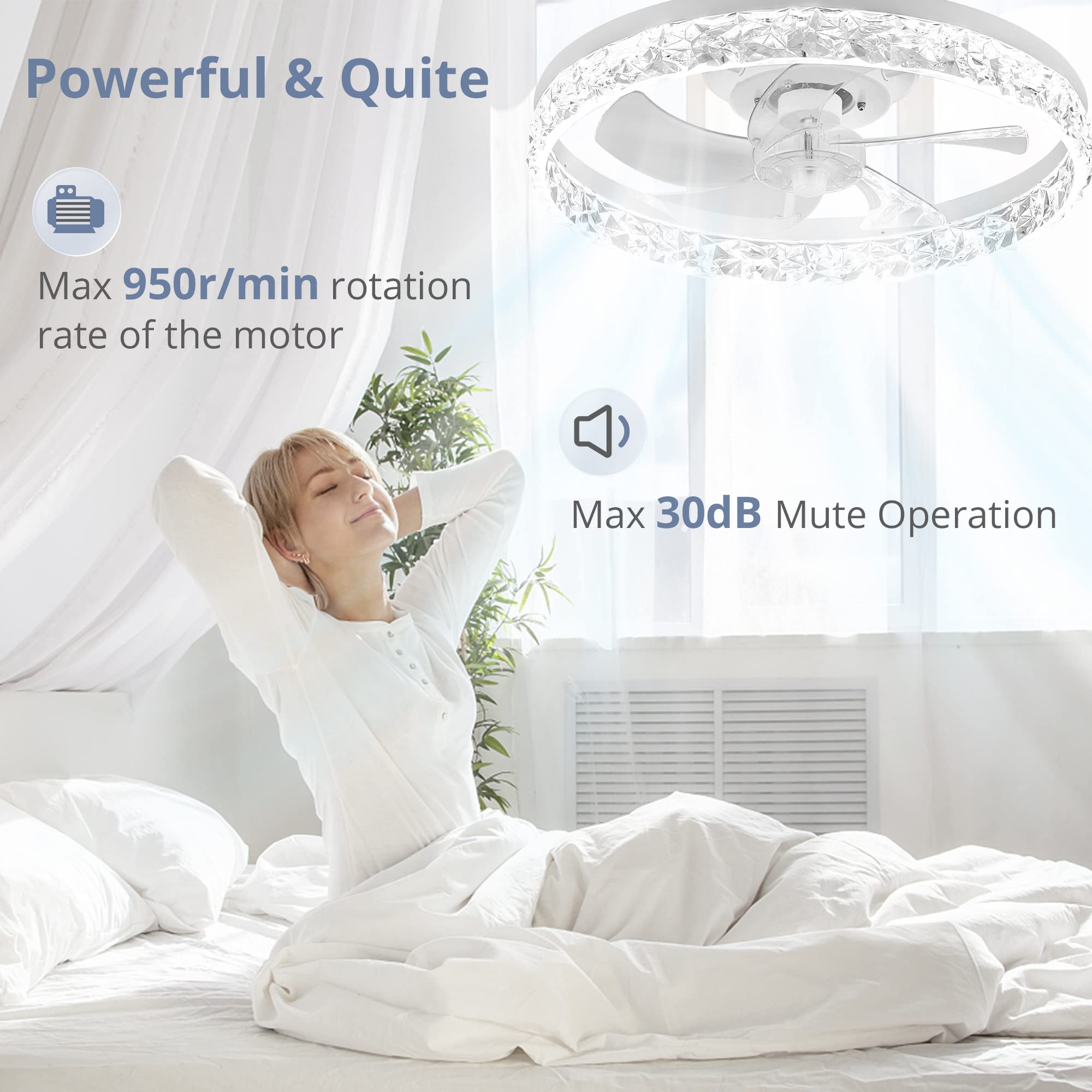 LEDIARY 20" Modern Ceiling Fans with Lights and Remote - John Pierce Auto Care