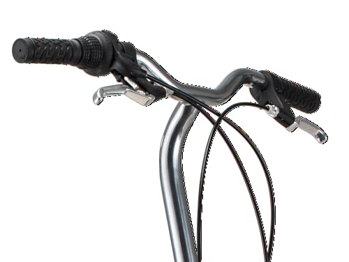 Schwinn Loop Adult Folding Bike for Men and Women, 20 inch Wheels, 7 Speed Drivetrain - John Pierce Auto Care