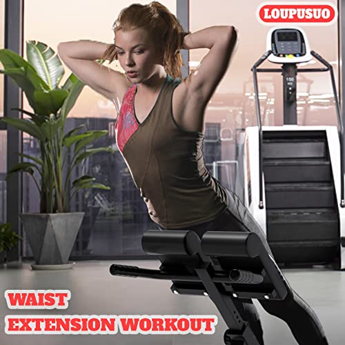 Loupusuo Roman Chair, Back Extension Bench, Multi Functional Ab Bench, Leg Strength Trainer - John Pierce Auto Care