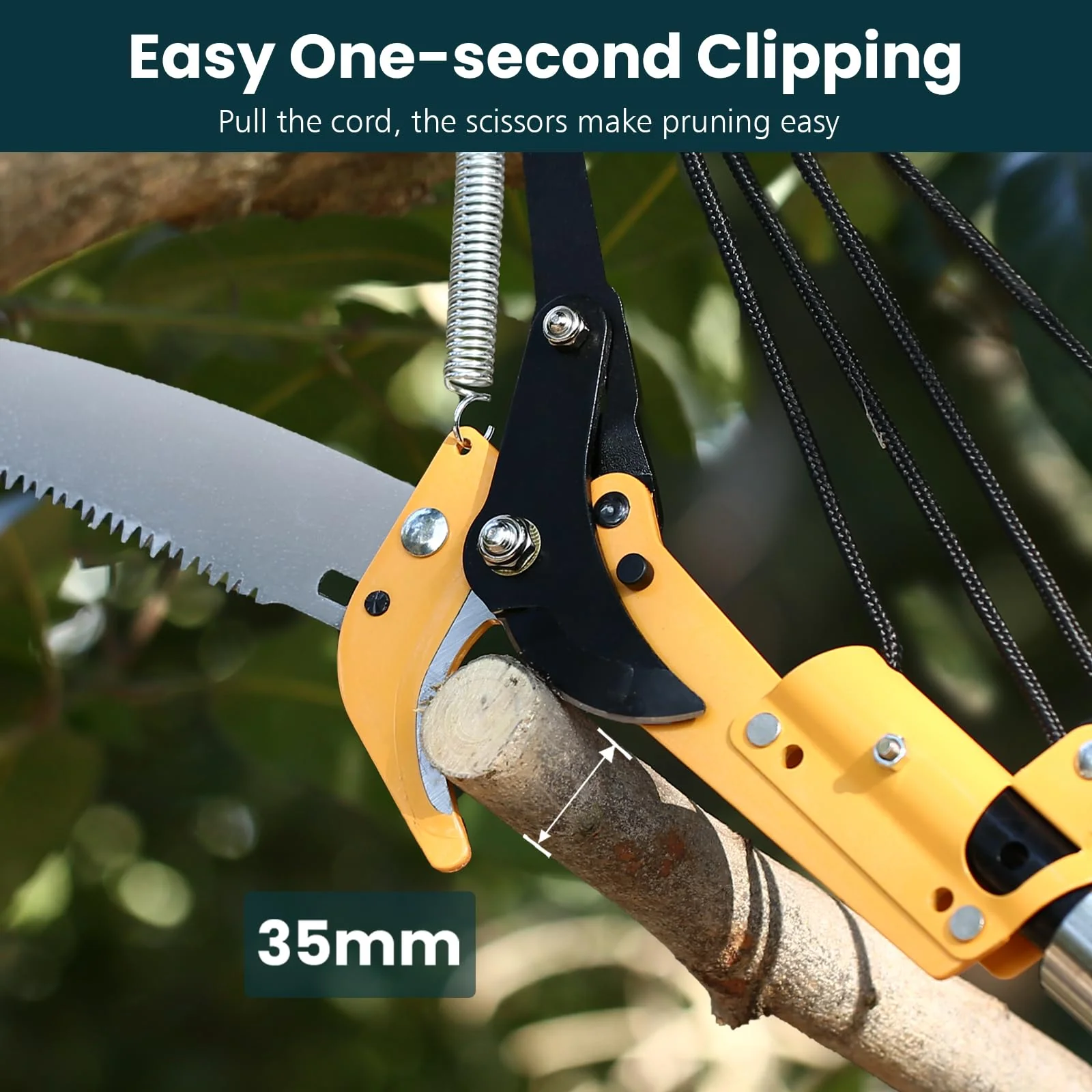 Dremmt 27-ft. Pole Saw for Tree Trimming - John Pierce Auto Care