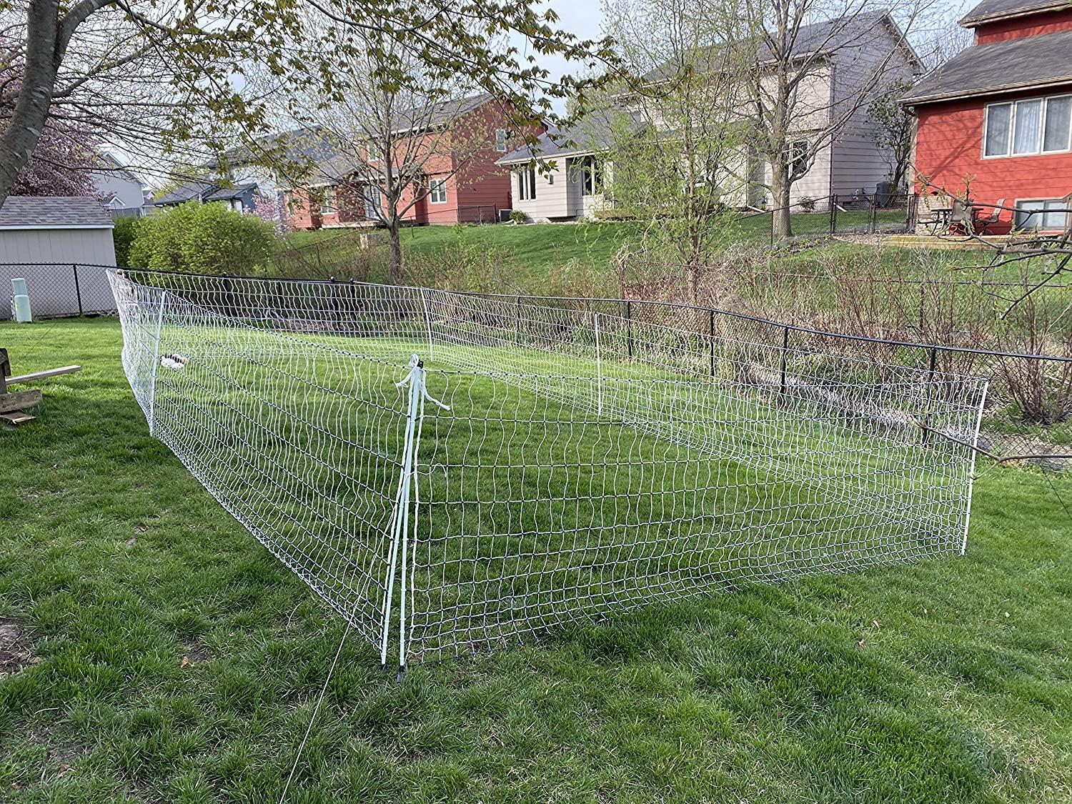 Starkline Electric Poultry Netting Kit �C AC Energizer (48��� x164�� White\/Blue Poultry Netting) (12\/48\/3) All in One Electric Fence Kit for Backyards, Homesteads, Ranches or Farms - John Pierce Auto Care
