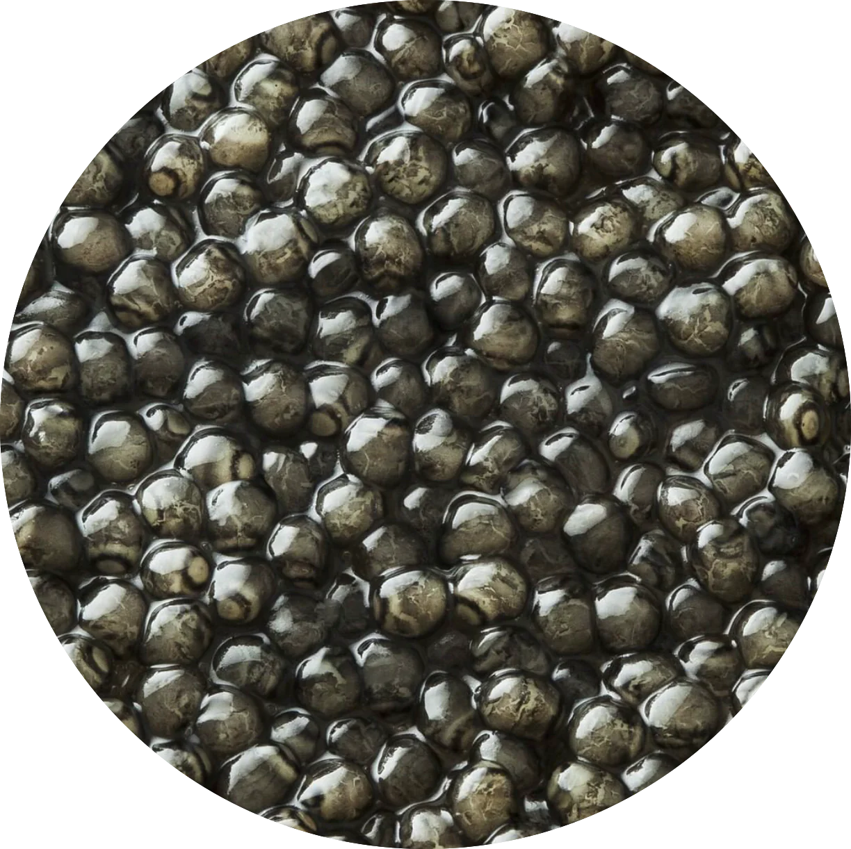 Kaluga Premium Caviar - John Pierce Auto Care
