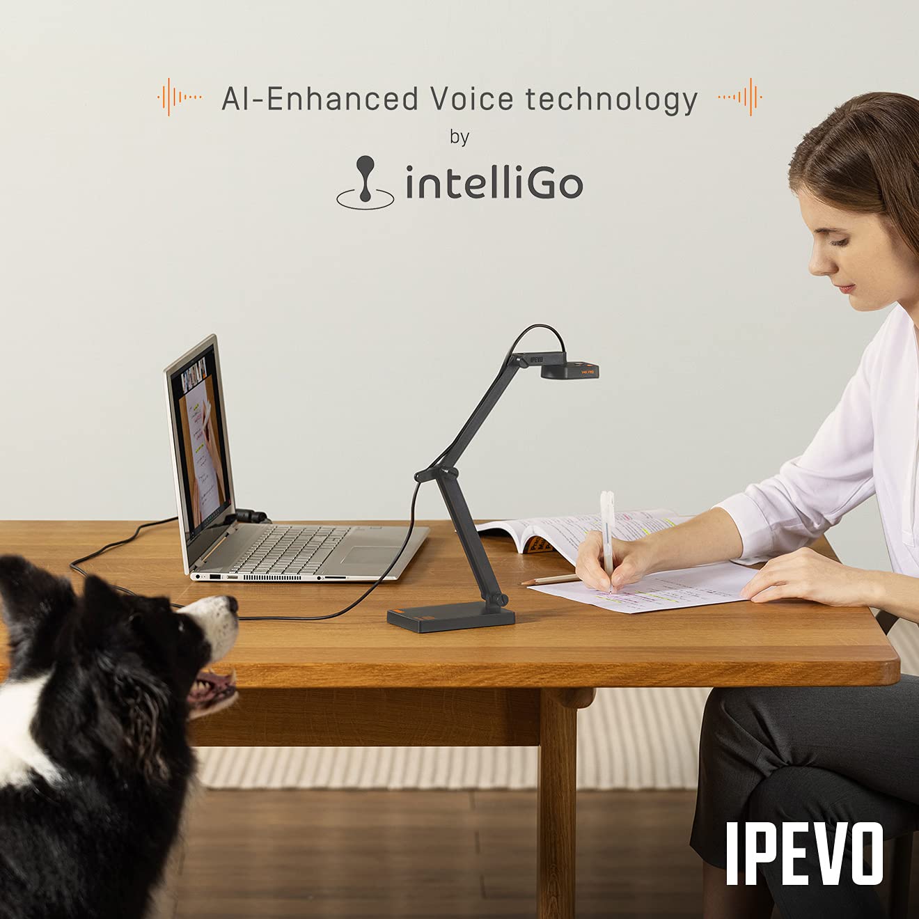 IPEVO V4K PRO Ultra HD USB Document Camera with AI Enhanced Mic - John Pierce Auto Care
