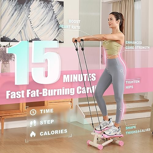 FLYBIRD Stepper for Exercise, Portable Stair Stepper with Resistance Bands for Full Body Workout - John Pierce Auto Care