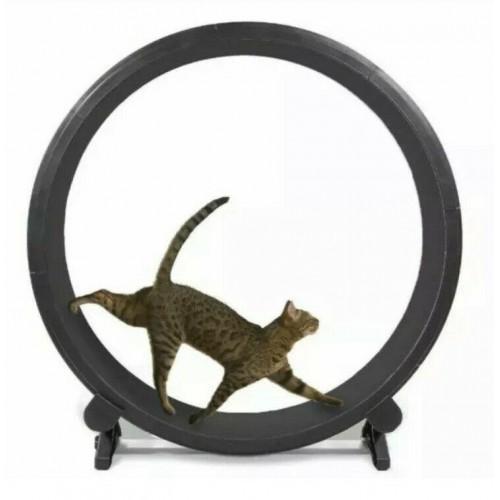 One Fast Cat Exercise Wheel �C Black �C New In Box - John Pierce Auto Care