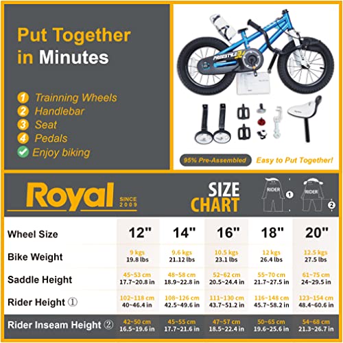 Royalbaby Kids Bike Freestyle BMX Bicycle with Training Wheels Kickstand - John Pierce Auto Care