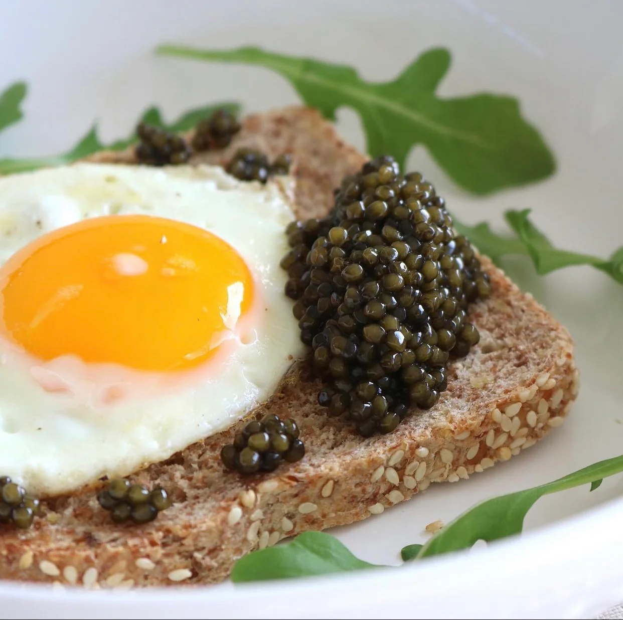 Imperial Osetra Caviar - John Pierce Auto Care