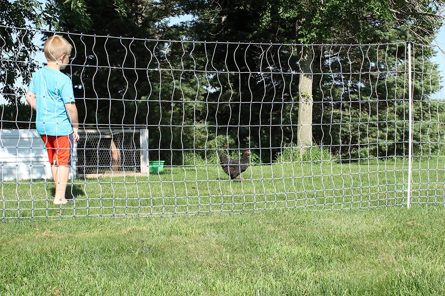 Starkline Electric Poultry Netting Kit �C AC Energizer (48��� x164�� White\/Blue Poultry Netting) (12\/48\/3) All in One Electric Fence Kit for Backyards, Homesteads, Ranches or Farms - John Pierce Auto Care