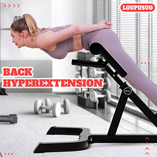 Loupusuo Roman Chair, Back Extension Bench, Multi Functional Ab Bench, Leg Strength Trainer - John Pierce Auto Care