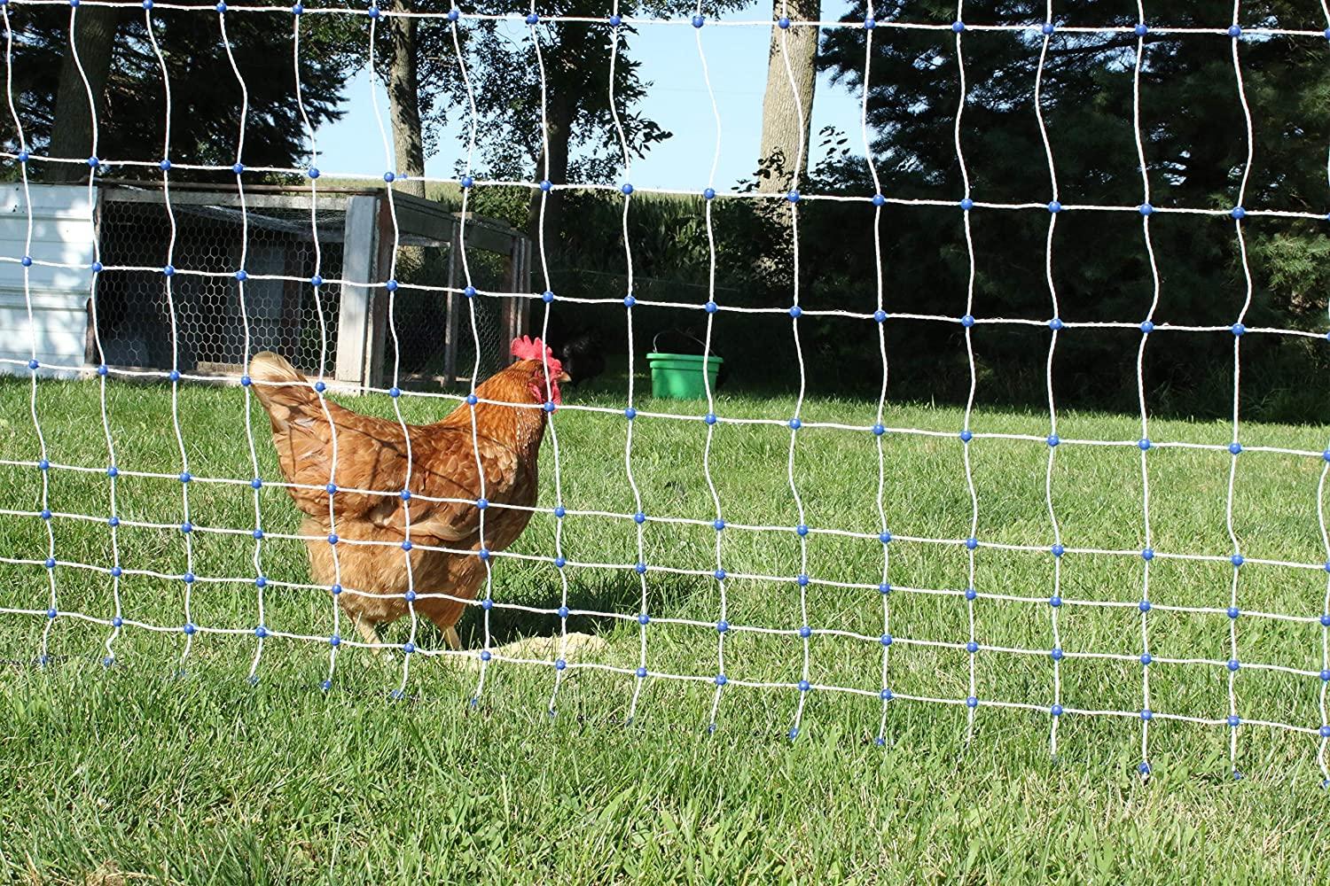 Starkline Electric Poultry Netting Kit �C AC Energizer (48��� x164�� White\/Blue Poultry Netting) (12\/48\/3) All in One Electric Fence Kit for Backyards, Homesteads, Ranches or Farms - John Pierce Auto Care