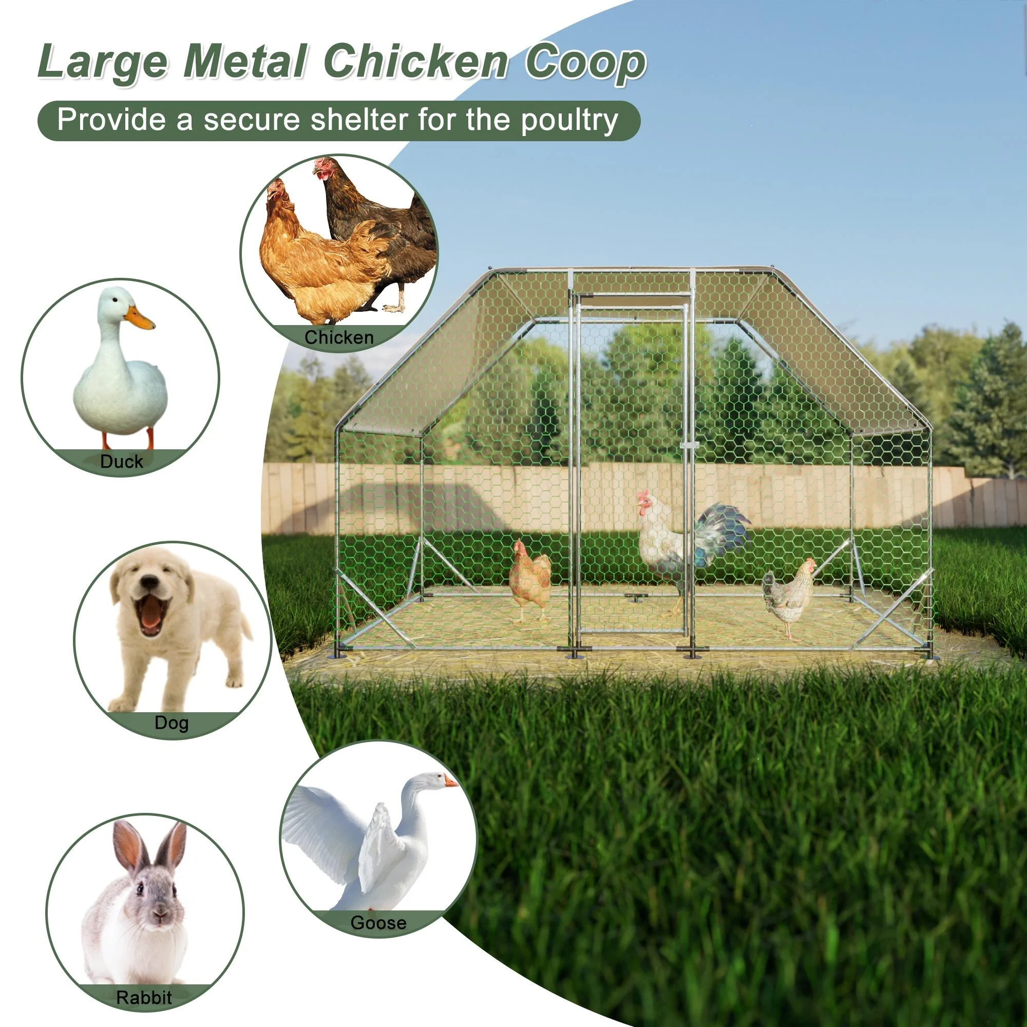 Large Chicken Coop for 6 8 Chickens, Seizeen Walk in Chicken Run with Waterproof, Galvanized Wire Poultry Hen Dog House Rabbits Hutch Duck Cage, 10FT - John Pierce Auto Care