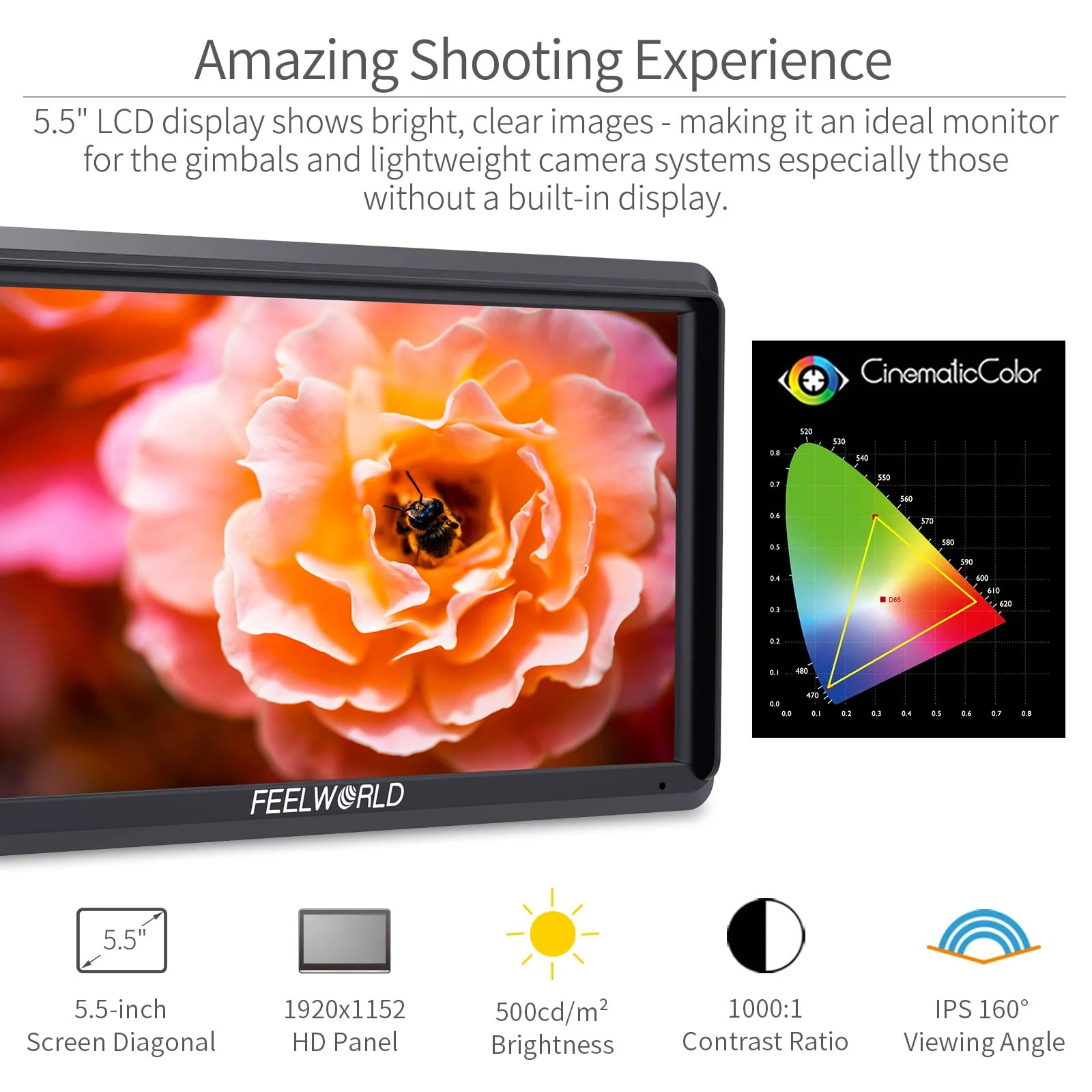 FEELWORLD S55 5.5-inch DSLR Field Monitor - John Pierce Auto Care