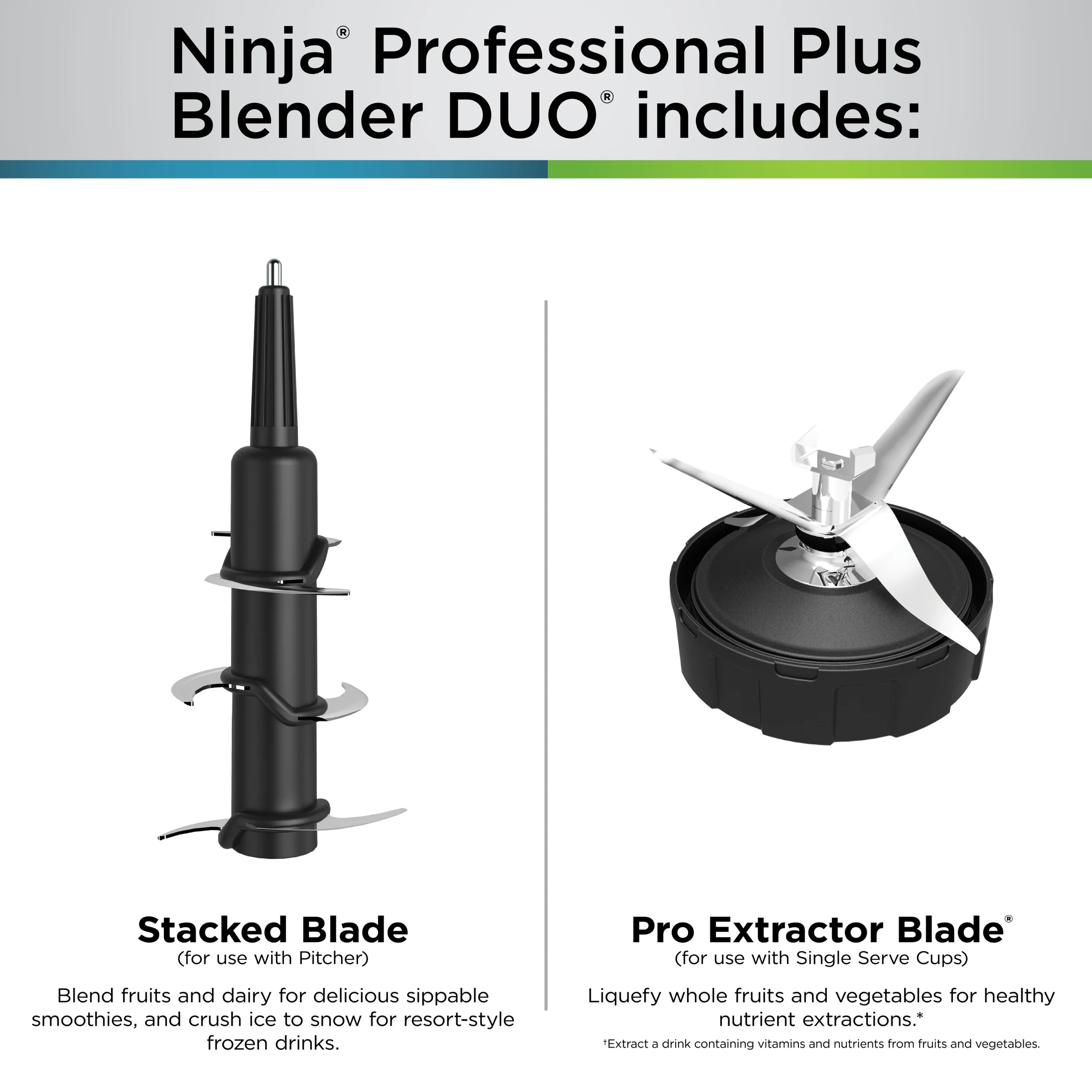 Ninja Professional Plus Blender DUO with Auto-iQ - John Pierce Auto Care