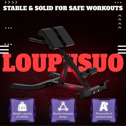 Loupusuo Roman Chair, Back Extension Bench, Multi Functional Ab Bench, Leg Strength Trainer - John Pierce Auto Care